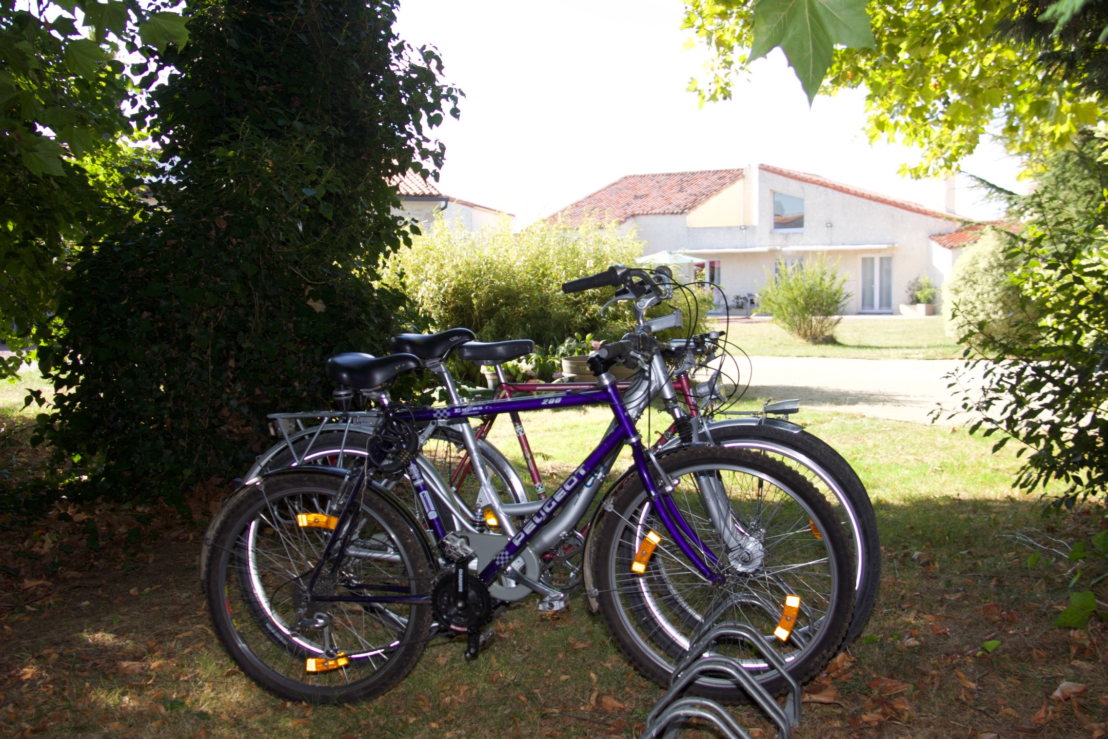 Charentine_Location vélo_250731 - 4