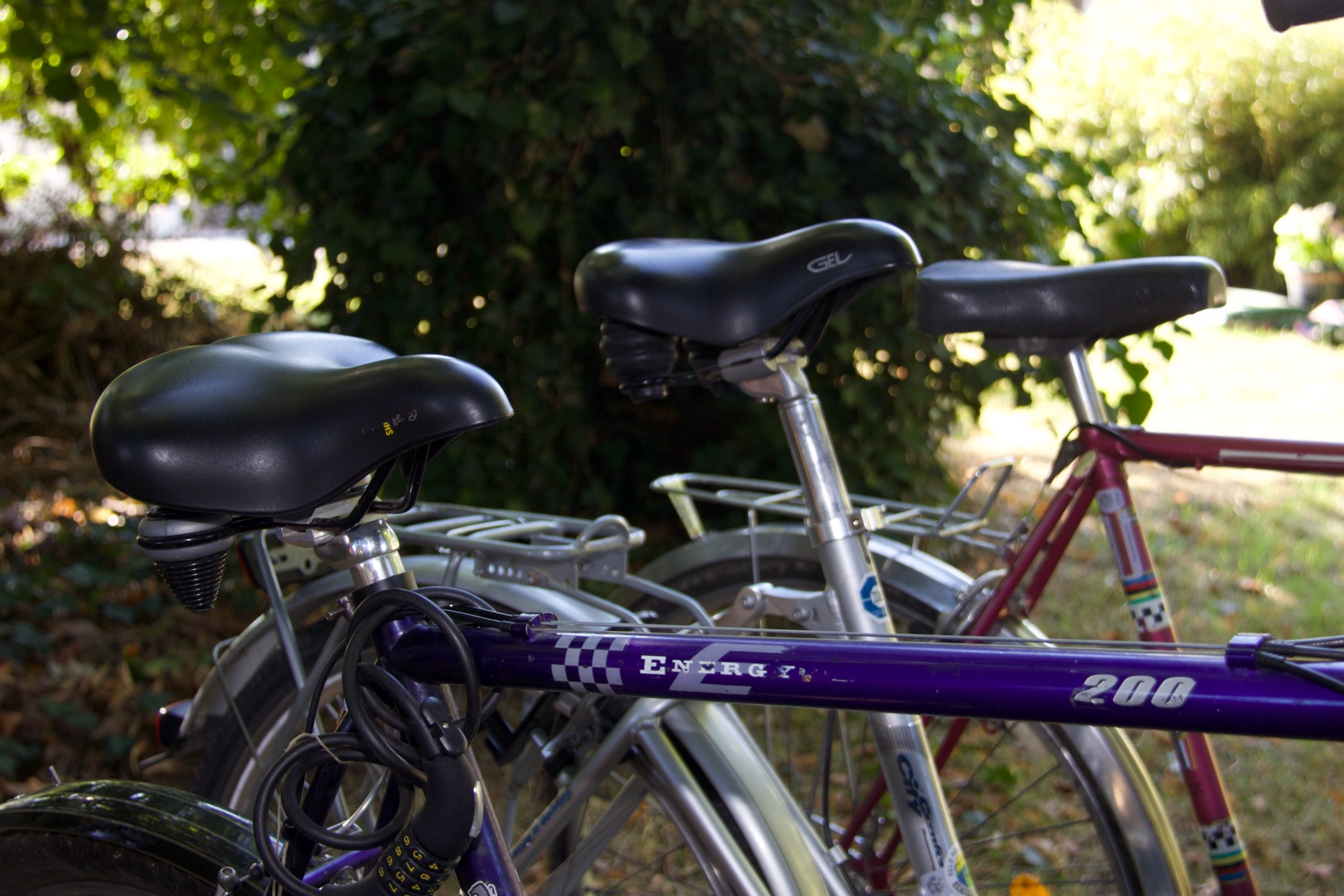 Charentine_Location vélo_250731 - 7